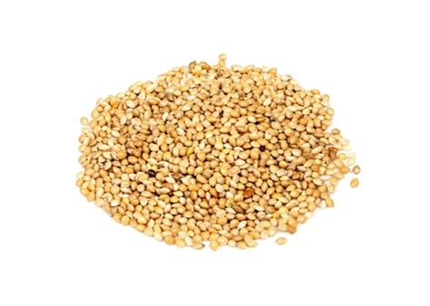 Millet décortiqué - bio - kg (Markal)