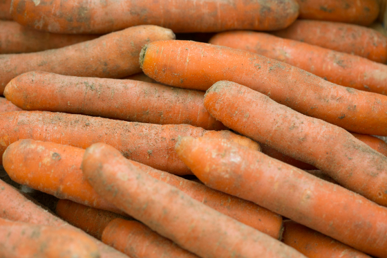Carotte orange / jaune - Bio - Kg