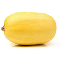 Courge spaghetti bio - kg