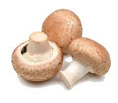 Champignon brun - Bio - Kg