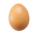 [01] Oeuf - Bio - Pièce (Ferme Catteau)