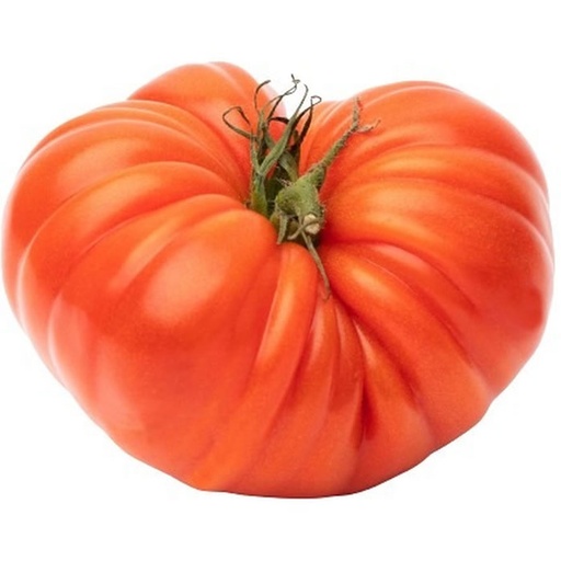 Tomate ancienne bio - kg